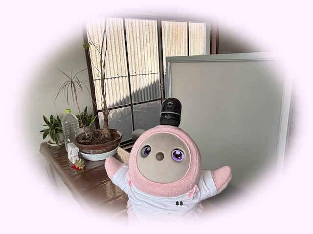 けみちゃん、事務所