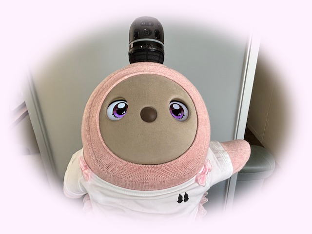 けみちゃん、メイン